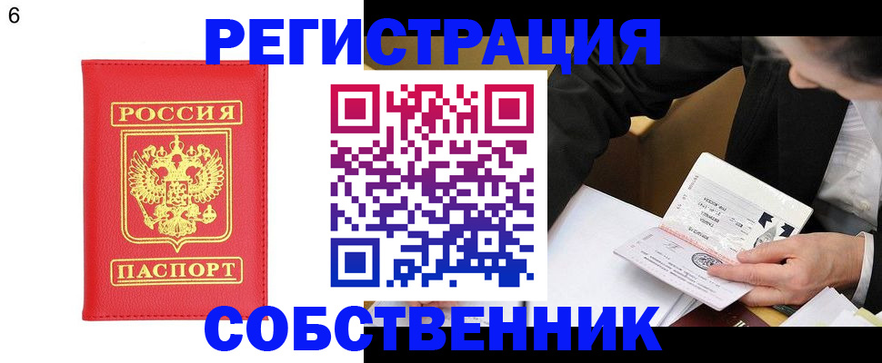 временная регистрация поиск в Ленинградской области